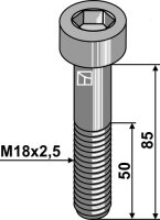 Innensechskantschraube M18x25 10.9