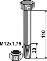 Schraube mit Sicherungsmutter M12 8.8