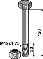 Schraube mit Sicherungsmutter M12 8.8