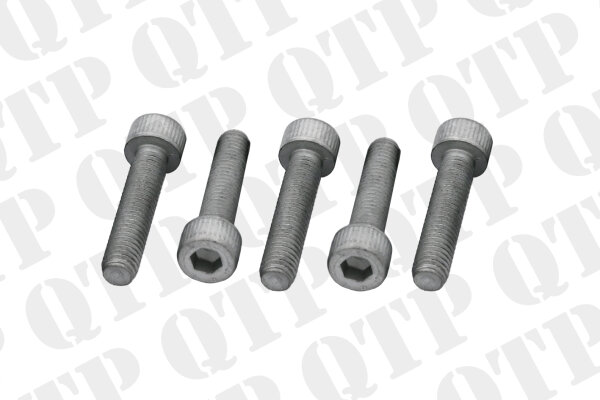 Exhaust Elbow Bolt