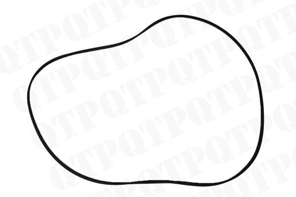 Brake Disk O-Ring