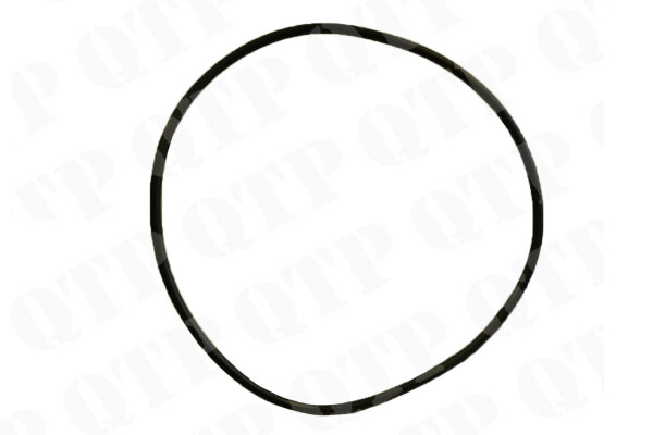 Oil Filter O-Ring