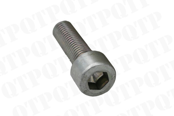 Hex Head Bolt