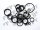 Dichtungs Kit für Selective Control Valve passend für John Deere