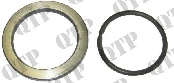 Set Bremswellenscheibe & Sicherungsring passend für Landini und Massey Ferguson