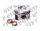 Piston c/w Rings