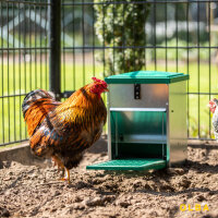 Feedomatic Futterautomat mit Trittklappe für 8kg Futter