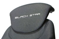 Integrierte RLV Black Matrix –...
