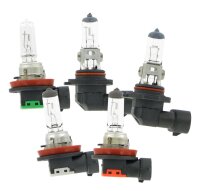 Leuchtmittel H12 12V 53W – Halogenleuchtmittel mit...