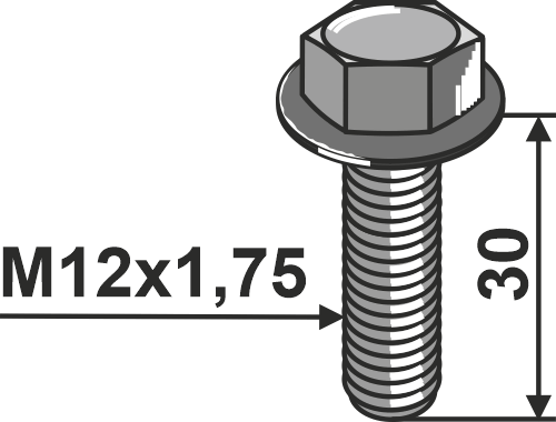 Sperrzahnschraube M12x1,75 Güte 10.9