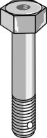 Schraube M20